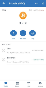 send btc to bitcoin address